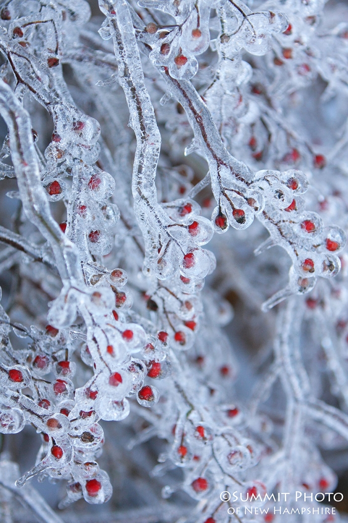 winter-snow-natural-ice-art-18