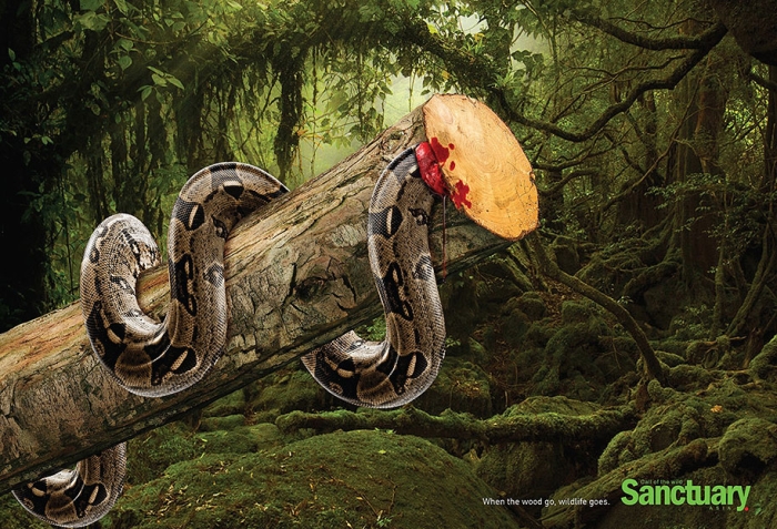 social-ads-call-of-the-wild-sanctuary-asia-3