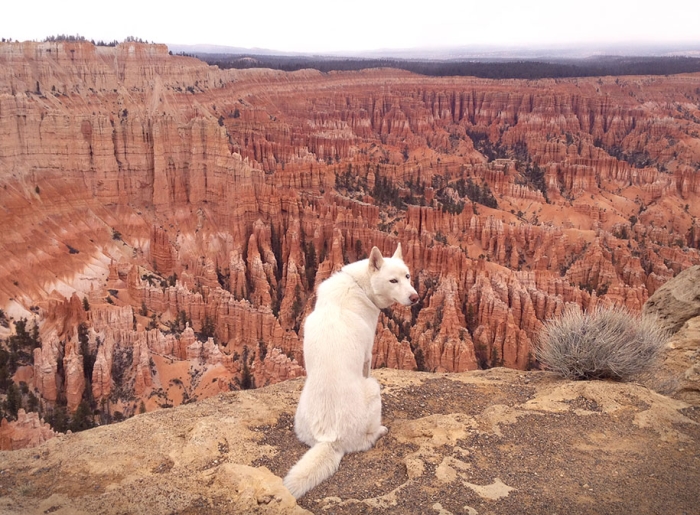 wolf-dog-adventures-travel-photography-john-stortz-14