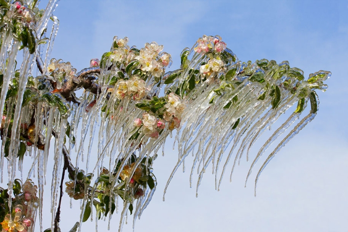 winter-snow-natural-ice-art-22