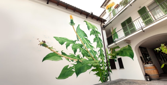 weeds-growing-graffiti-street-art-mona-caron-14
