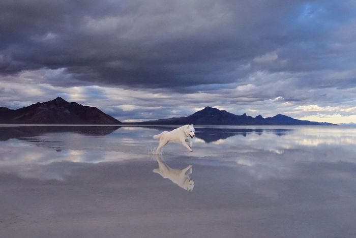 wolf-dog-adventures-travel-photography-john-stortz-25