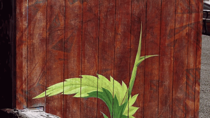 weeds-growing-graffiti-street-art-mona-caron-8