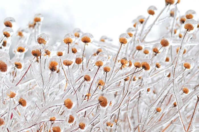 winter-snow-natural-ice-art-24