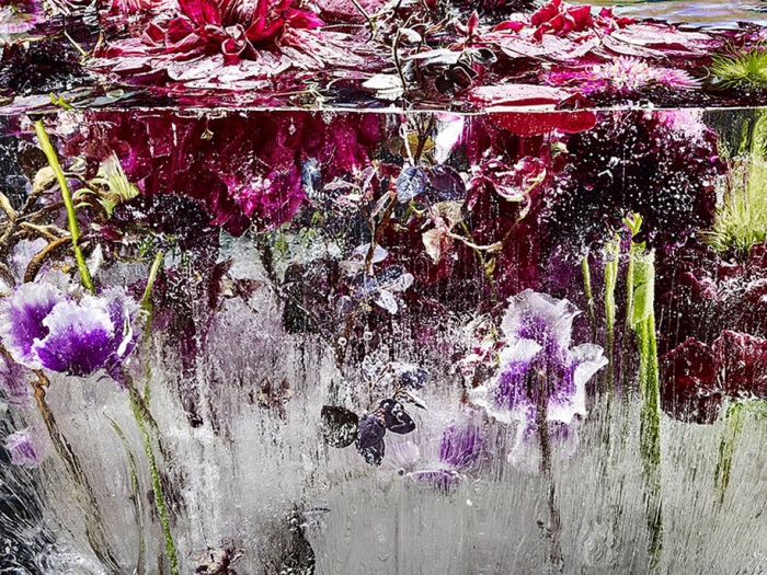 locked-in-the-ether-frozen-flowers-kenji-shibata-2