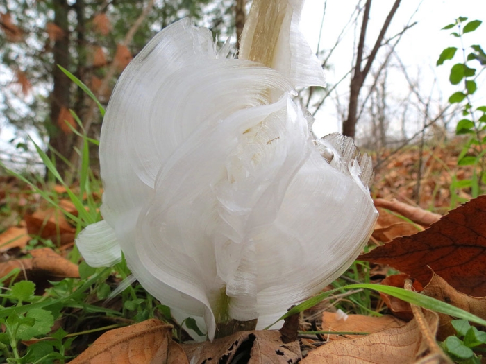winter-snow-natural-ice-art-26
