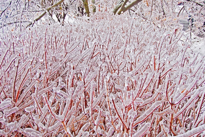 winter-snow-natural-ice-art-27