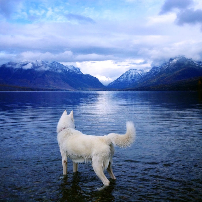 wolf-dog-adventures-travel-photography-john-stortz-26