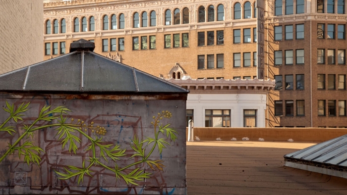weeds-growing-graffiti-street-art-mona-caron-16