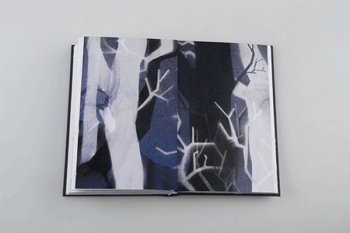 harry-potter-glowing-in-the-dark-book-design-kincso-nagy-11