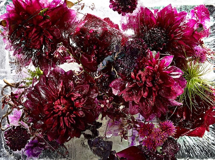 locked-in-the-ether-frozen-flowers-kenji-shibata-1