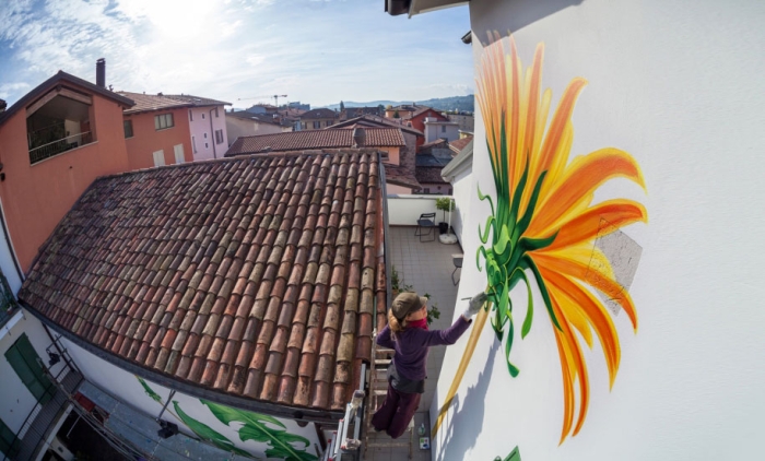 weeds-growing-graffiti-street-art-mona-caron-15