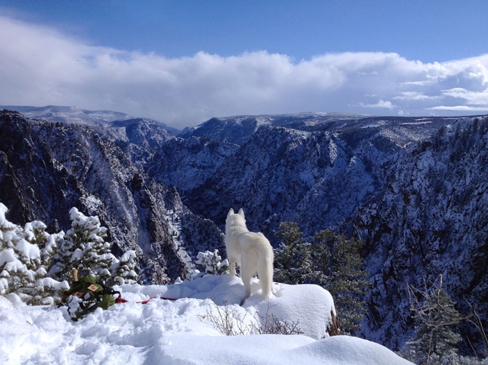 wolf-dog-adventures-travel-photography-john-stortz-20