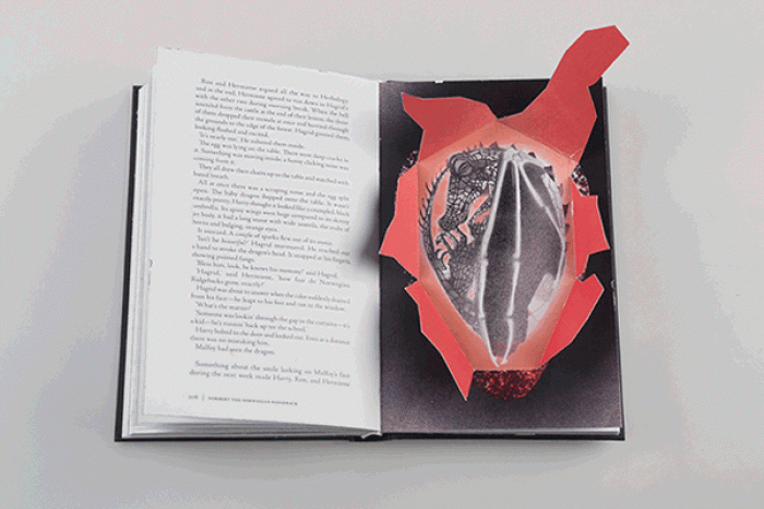 harry-potter-glowing-in-the-dark-book-design-kincso-nagy-13