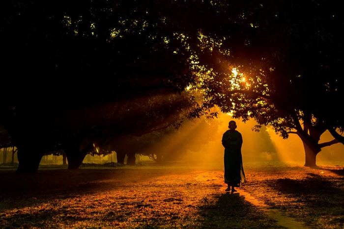 2015-sony-world-photography-awards-open-category-entries-11