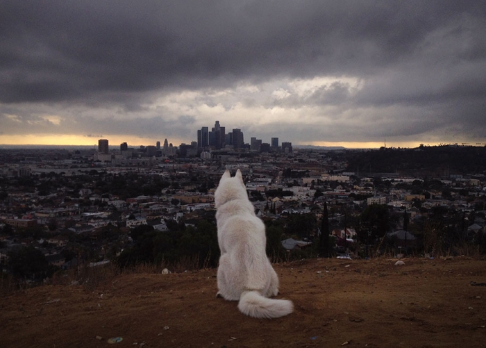 wolf-dog-adventures-travel-photography-john-stortz-6