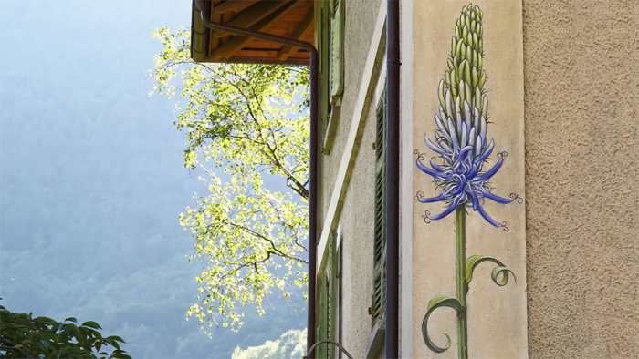 weeds-growing-graffiti-street-art-mona-caron-2