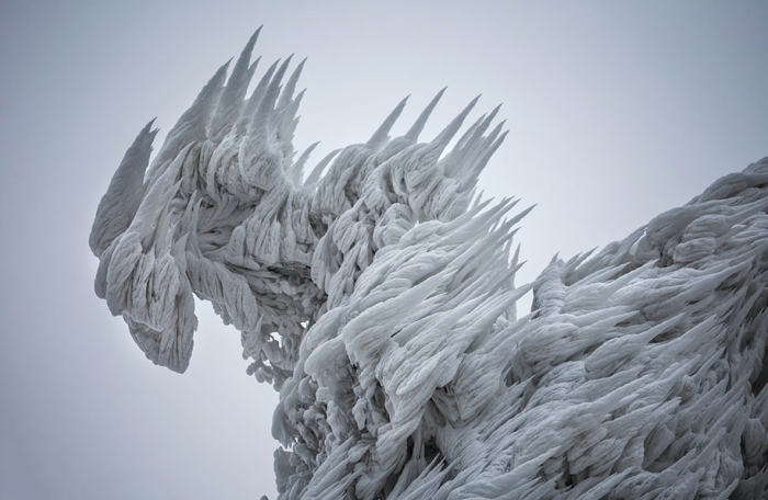 mount-javornik-slovenia-winter-photography-marko-korosec-2