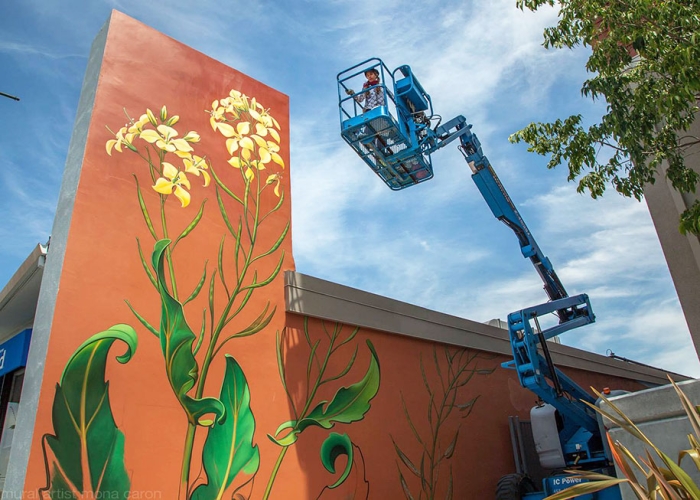 weeds-growing-graffiti-street-art-mona-caron-11