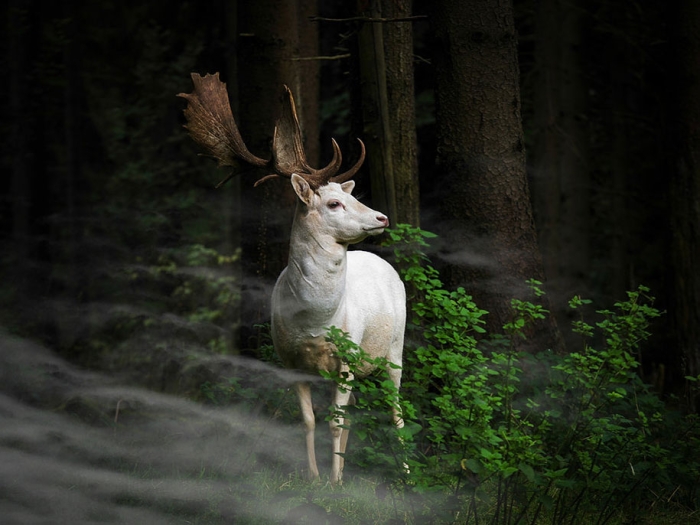 2015-sony-world-photography-awards-open-category-entries-13