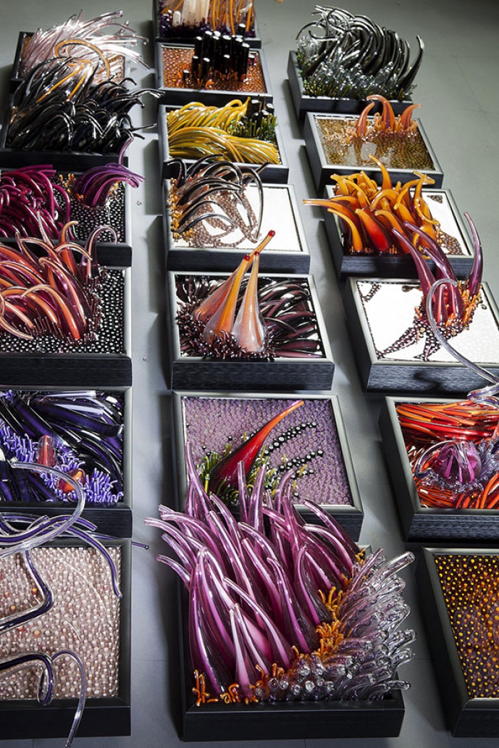 glass-sculpture-glassblowing-art-shayna-leib-8