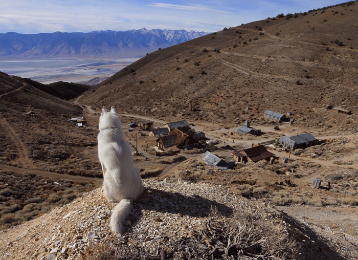 wolf-dog-adventures-travel-photography-john-stortz-4