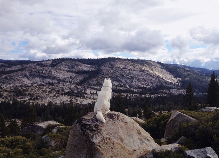 wolf-dog-adventures-travel-photography-john-stortz-5