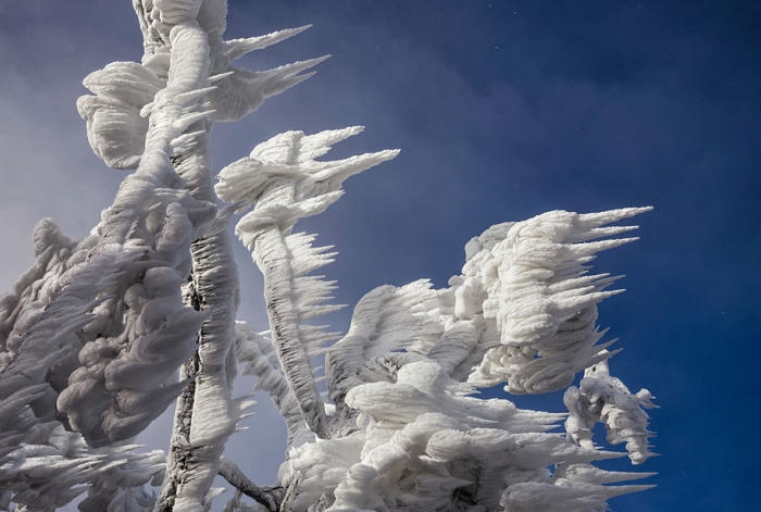 mount-javornik-slovenia-winter-photography-marko-korosec-4