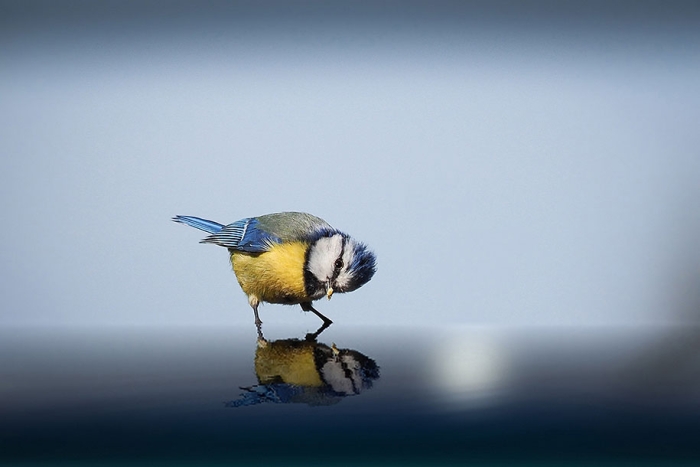 2015-sony-world-photography-awards-open-category-entries-15