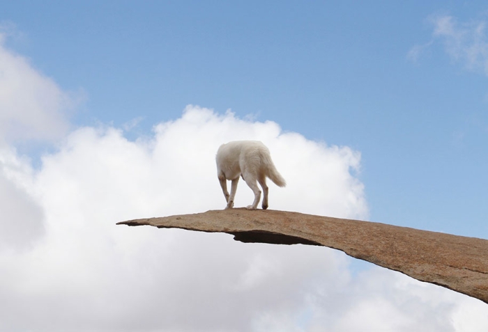 wolf-dog-adventures-travel-photography-john-stortz-12