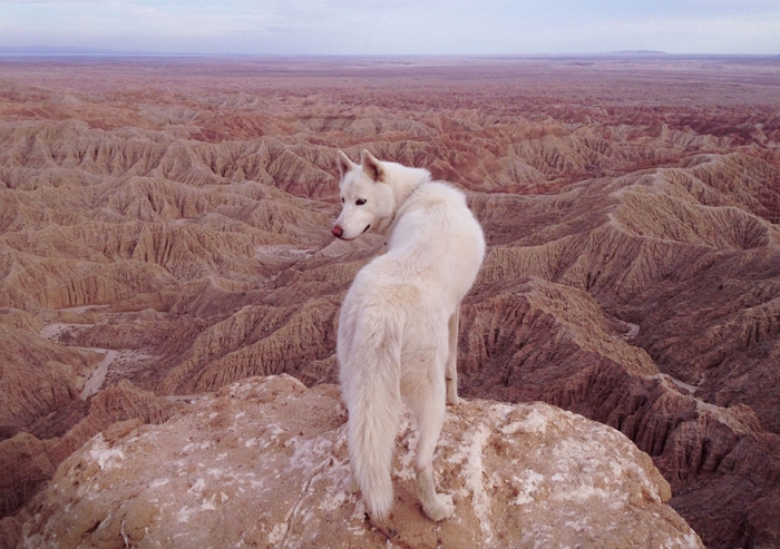 wolf-dog-adventures-travel-photography-john-stortz-16