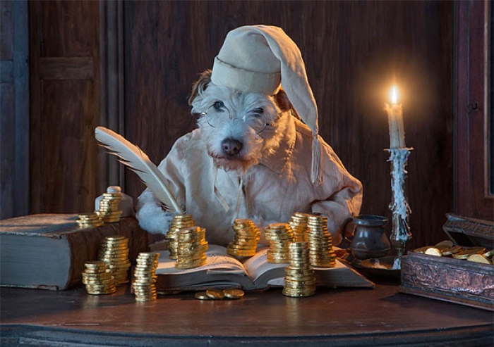 christmas-dog-costume-holiday-card-peter-thorpe-4