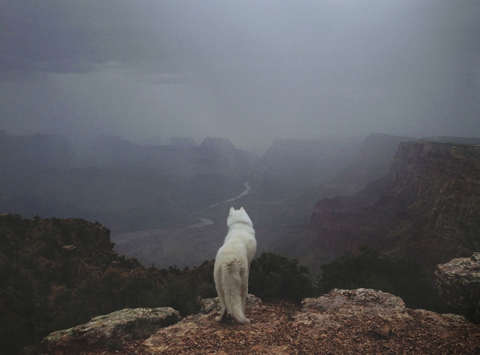 wolf-dog-adventures-travel-photography-john-stortz-18