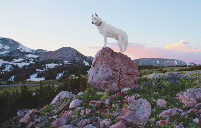 wolf-dog-adventures-travel-photography-john-stortz-19