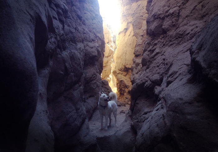 wolf-dog-adventures-travel-photography-john-stortz-23