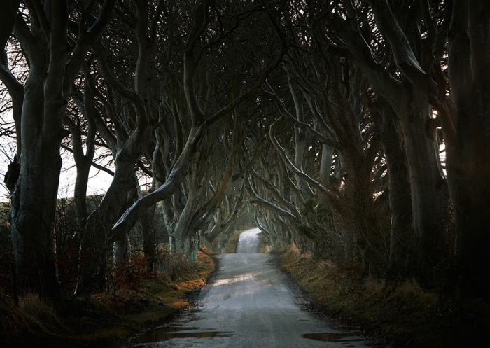 roads-landscape-photography-andy-lee-8
