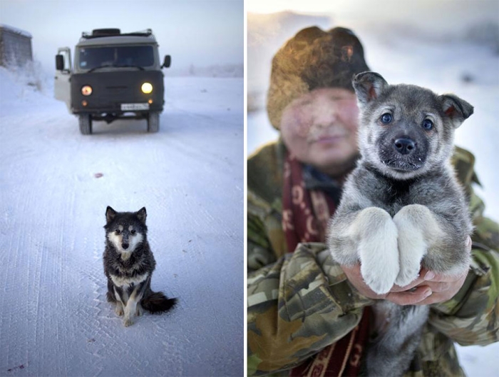 coldest-village-oymyakon-russia-amos-chapple-22