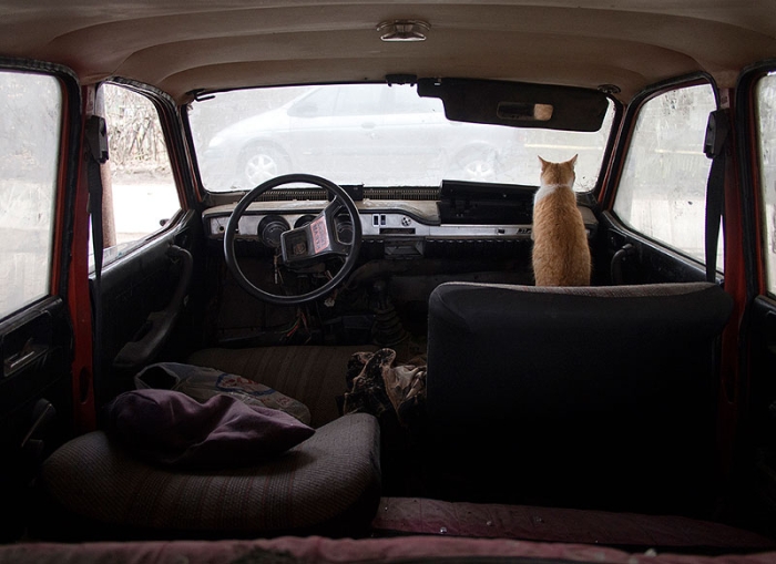 romania-villages-quirky-photography-hajdu-tamas-3