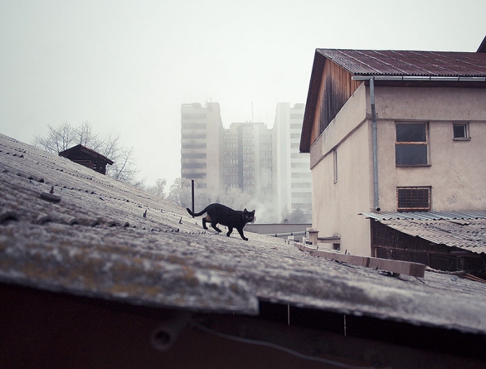romania-villages-quirky-photography-hajdu-tamas-5