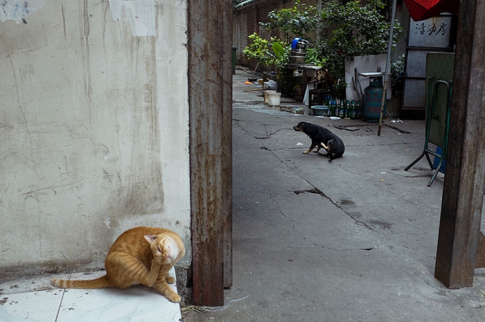 china-perfectly-timed-street-photography-tao-liu-24
