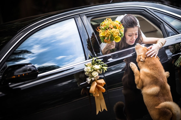 creative-wedding-photography-2014-ispwp-contest-8