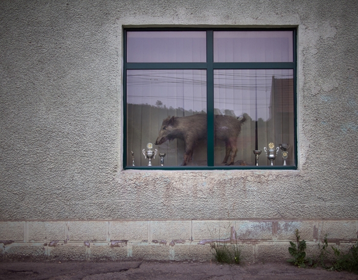 romania-villages-quirky-photography-hajdu-tamas-22
