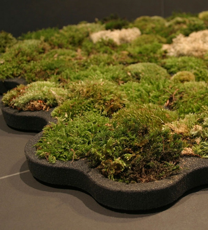 plants-green-interior-design-ideas-5