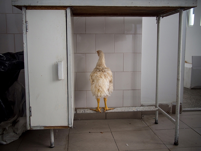 romania-villages-quirky-photography-hajdu-tamas-28