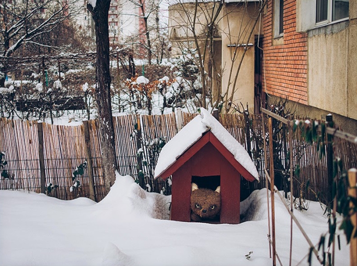 romania-villages-quirky-photography-hajdu-tamas-29