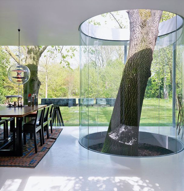 plants-green-interior-design-ideas-7
