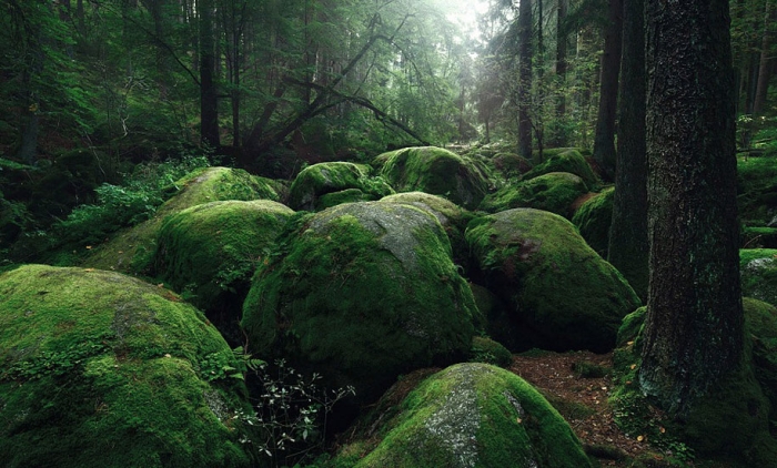 brothers-grimm-wanderings-landscape-photography-kilian-schonberger-11