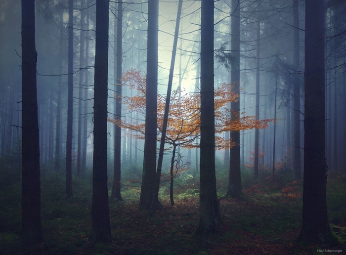 brothers-grimm-wanderings-landscape-photography-kilian-schonberger-3