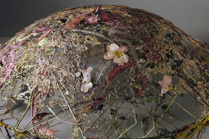 dried-flowers-pressed-design-ignacio-canales-aracil-9