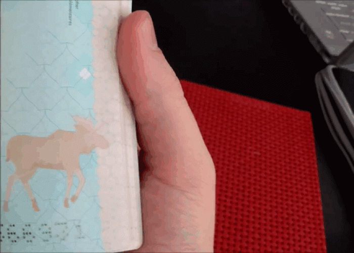 new-canadian-passport-uv-light-images-19